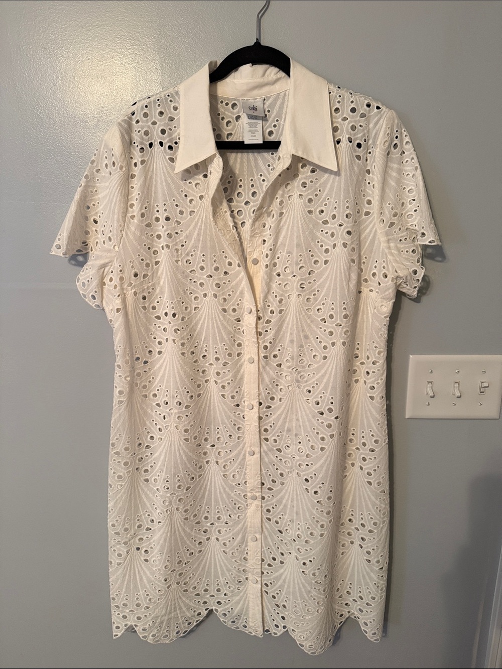CAbi Ivory Eyelet Button-Front Shirt Day Dress